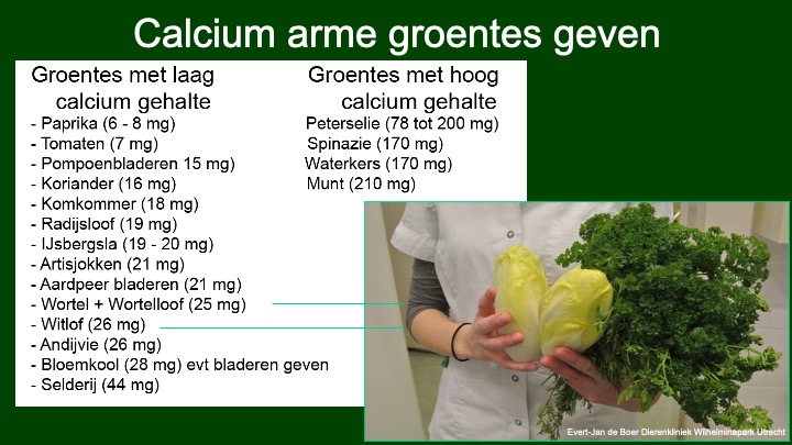 Calcium arme groentes en diuretiserende groentes